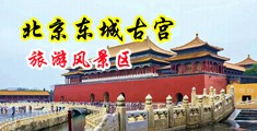 大鸡巴爆操的家人的大的屁股中国北京-东城古宫旅游风景区